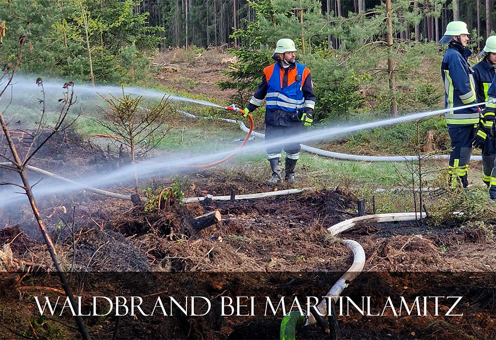 Wald- und Vegetationsbrand in Martinlamitz